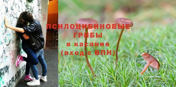 ГАЛЛЮЦИНОГЕННЫЕ ГРИБЫ Алексеевка
