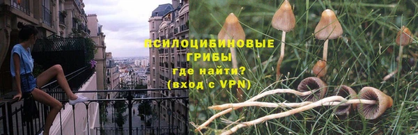 ГАЛЛЮЦИНОГЕННЫЕ ГРИБЫ Алексеевка