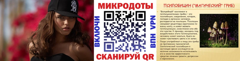 купить  сайты  Саянск  кракен сайт  Псилоцибиновые грибы Psilocybe 